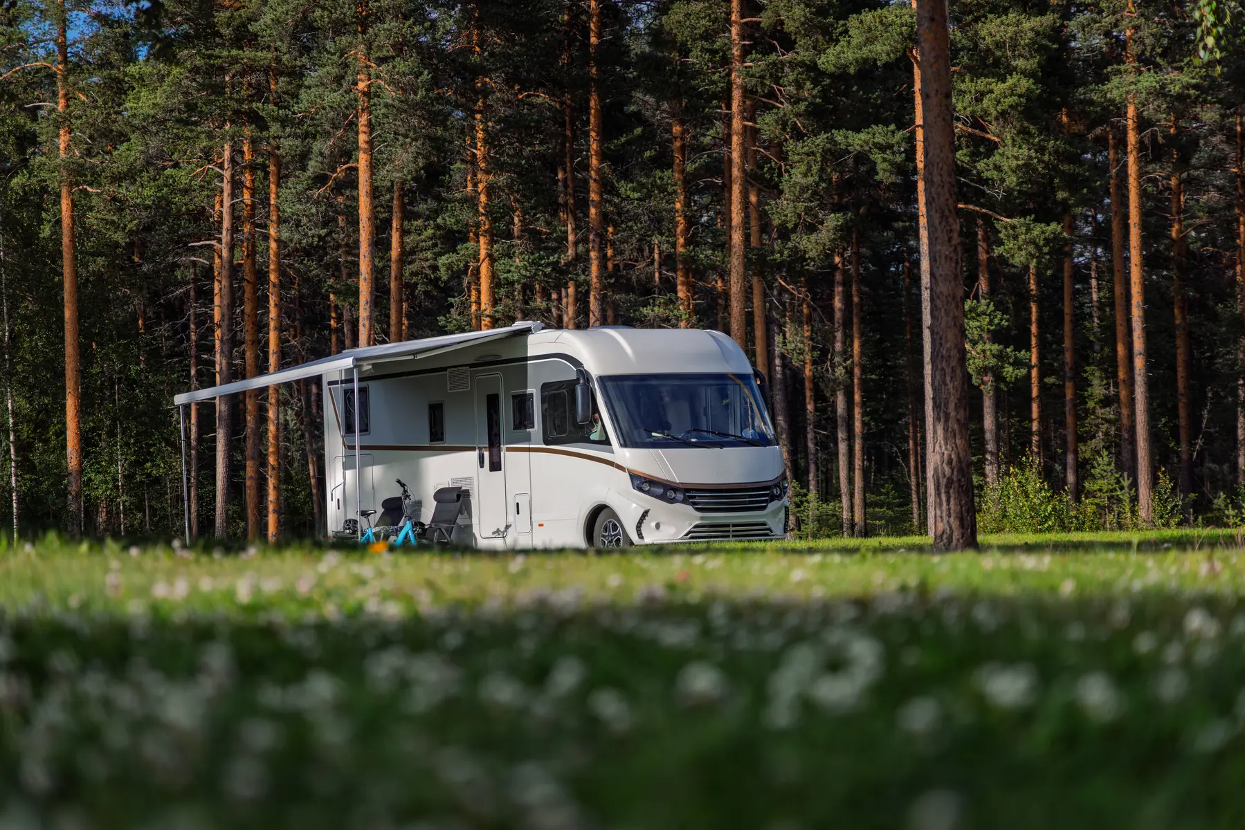 Motorhome settled into a quiet forest campsite